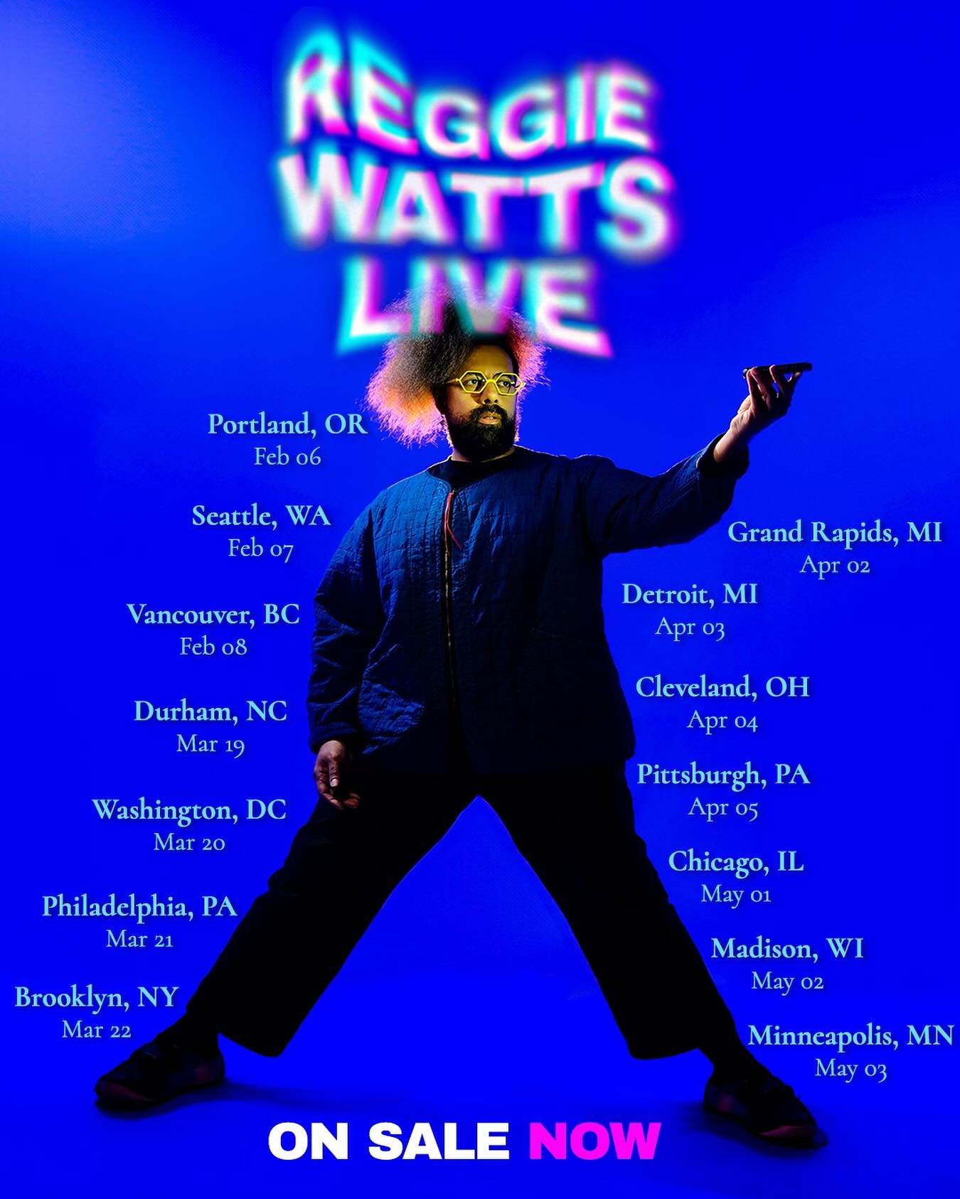 Reggie Watts Tour Poster 2025